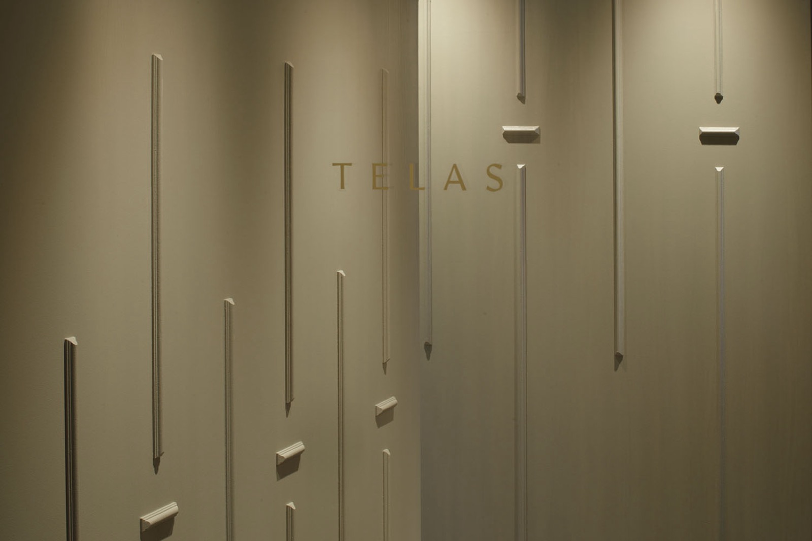 TELAS 2